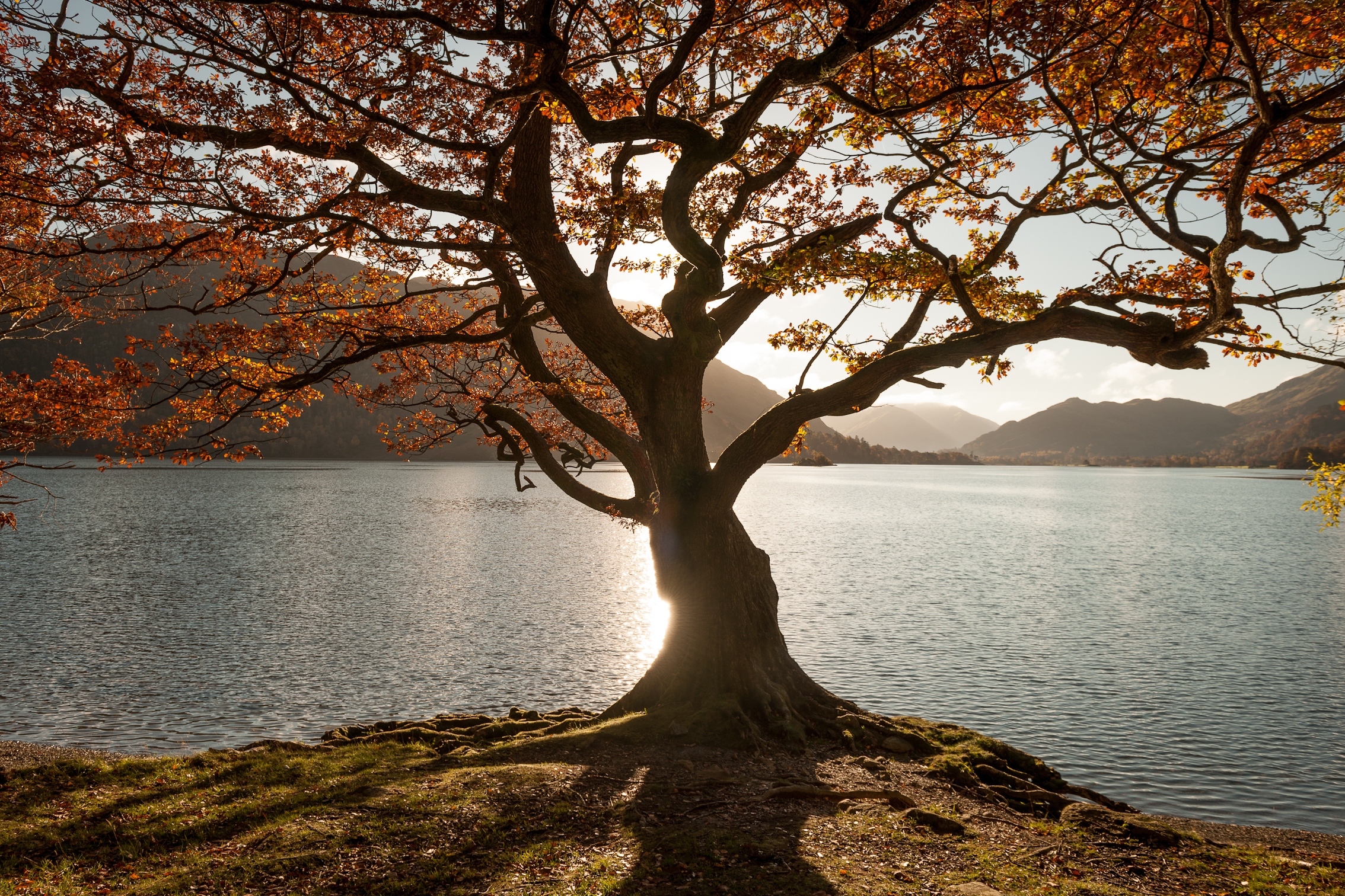 LakeDistrict-4445