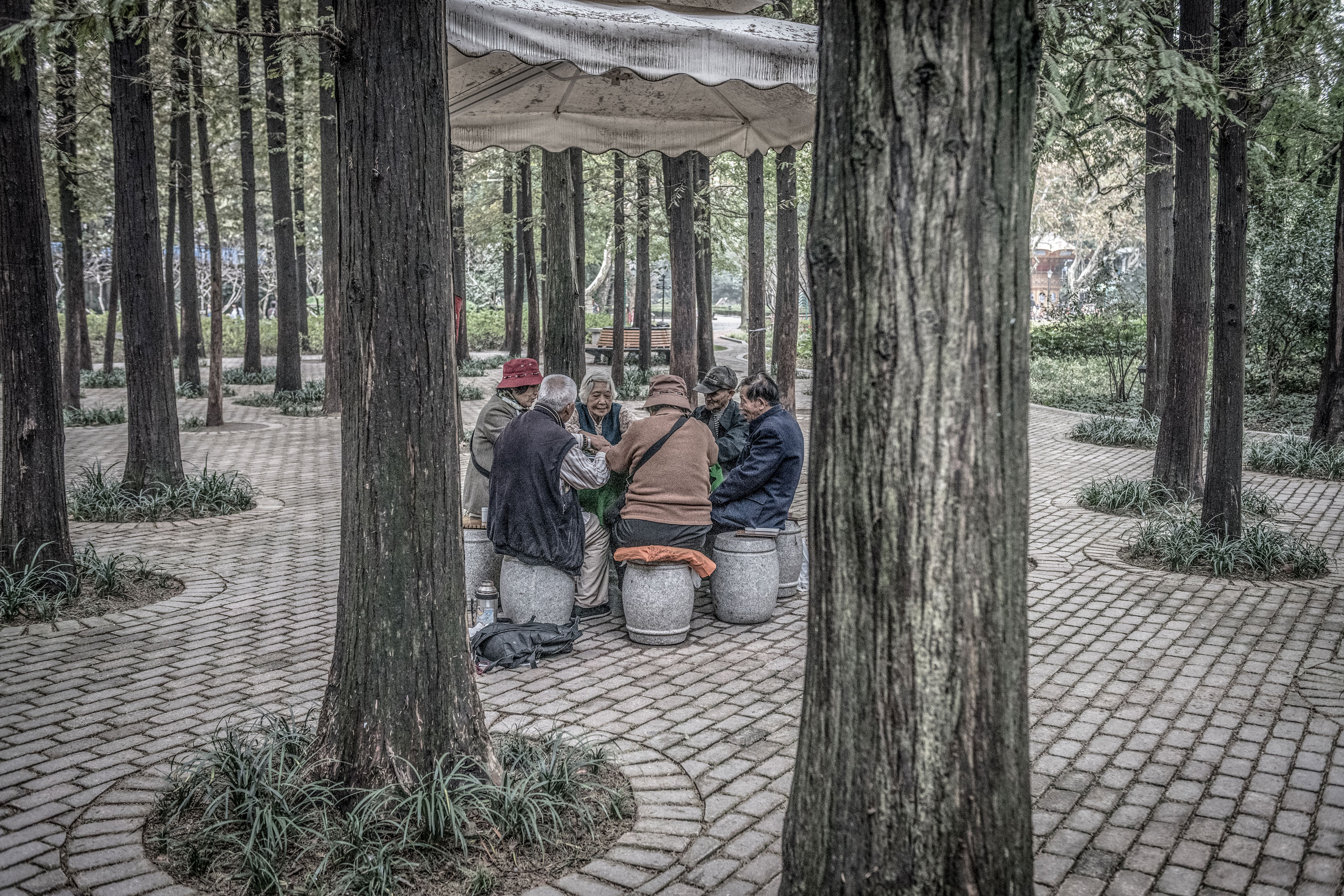 Shanghai-8103716-Edit