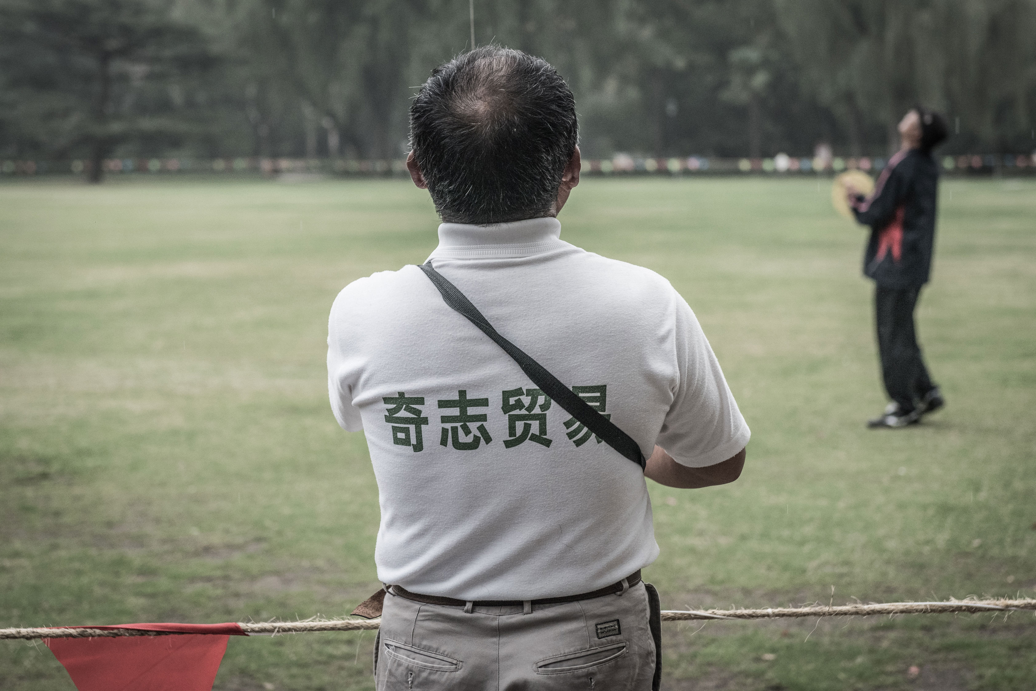 Shanghai-8103741