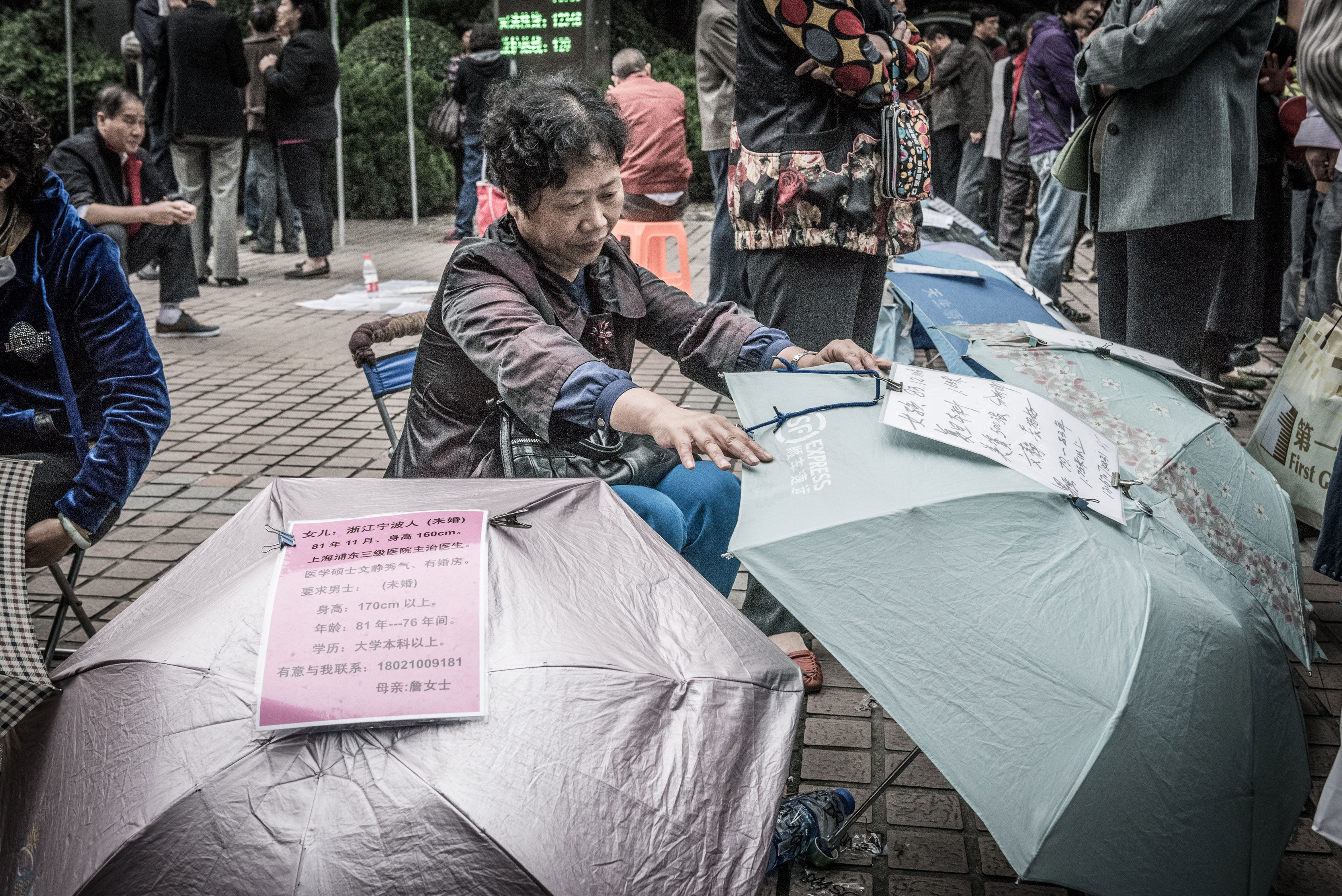 Shanghai-8103789
