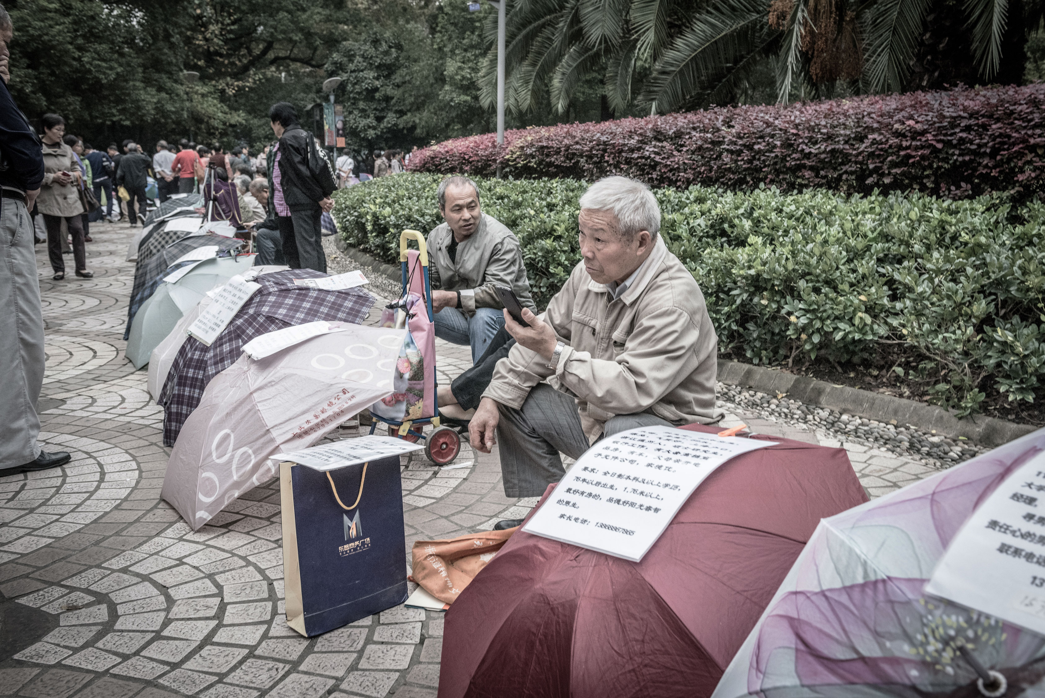 Shanghai-8103796
