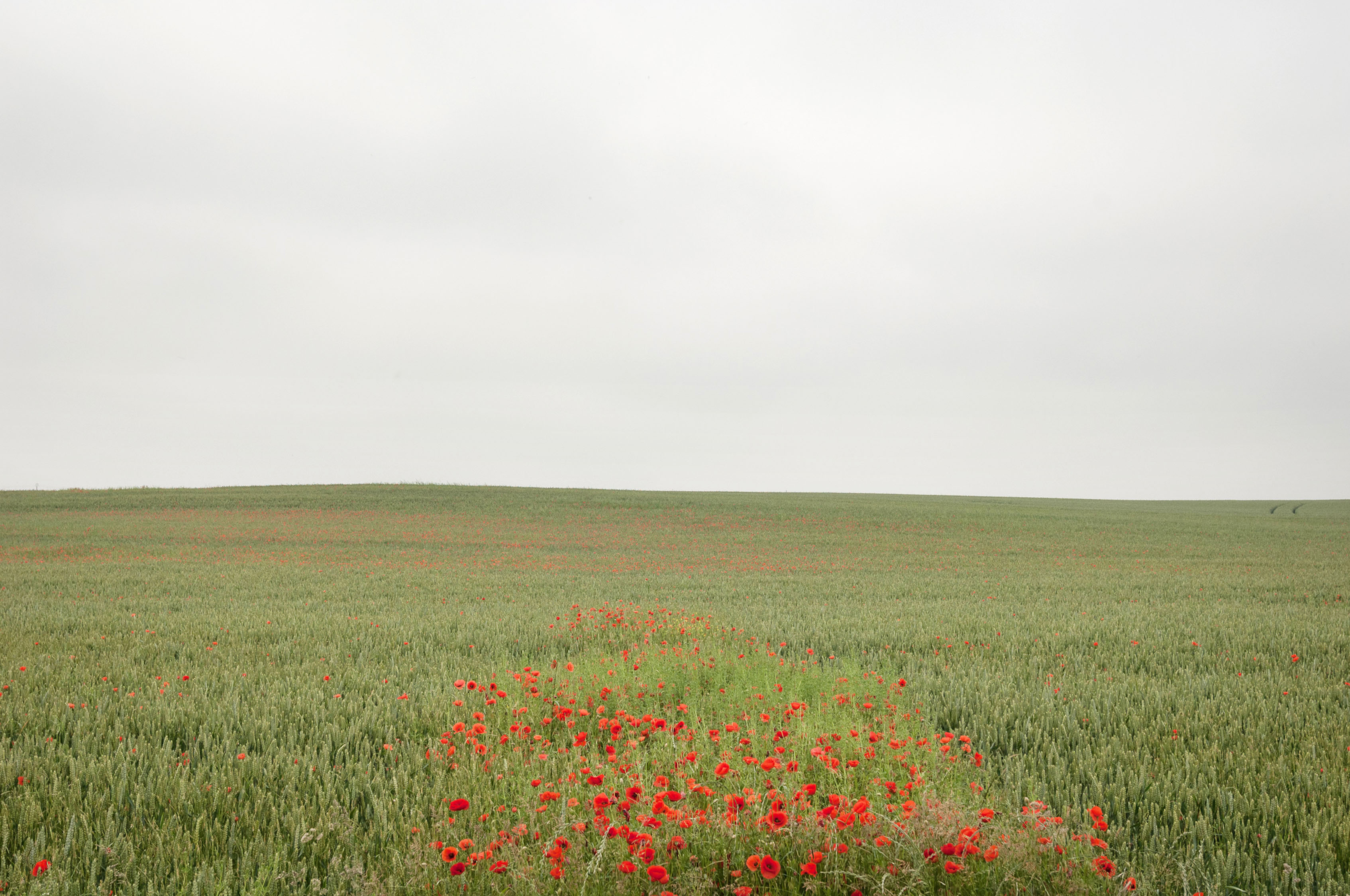 The Somme-CCP6271